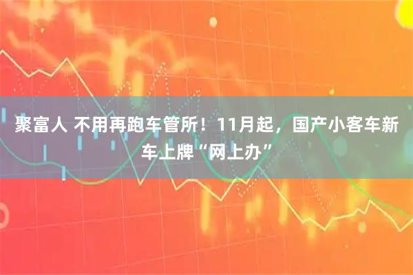 聚富人 不用再跑车管所！11月起，国产小客车新车上牌“网上办”