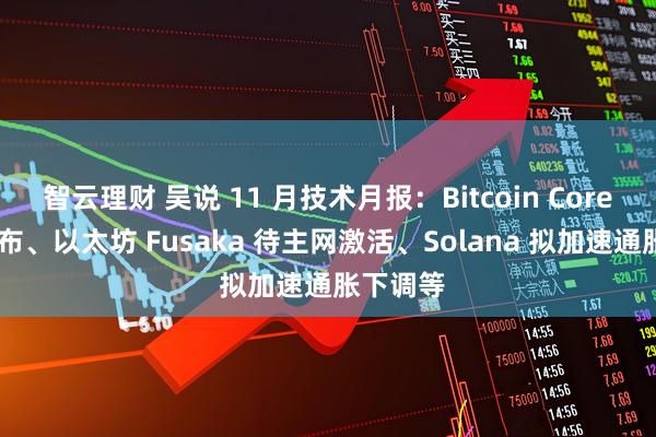 智云理财 吴说 11 月技术月报：Bitcoin Core 首审公布、以太坊 Fusaka 待主网激活、Solana 拟加速通胀下调等
